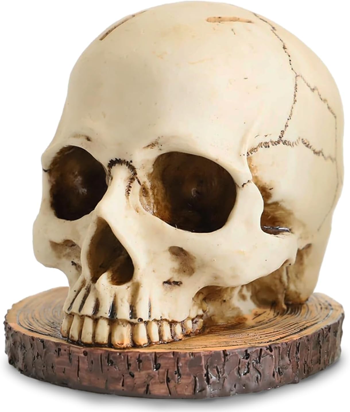 Cream-colored resin skull with dark eye sockets mounted on a textured wood grain base, designed to hold kitchen knives. The decorative skull knife block features detailed bone and teeth sculpting with an aged, weathered appearance.