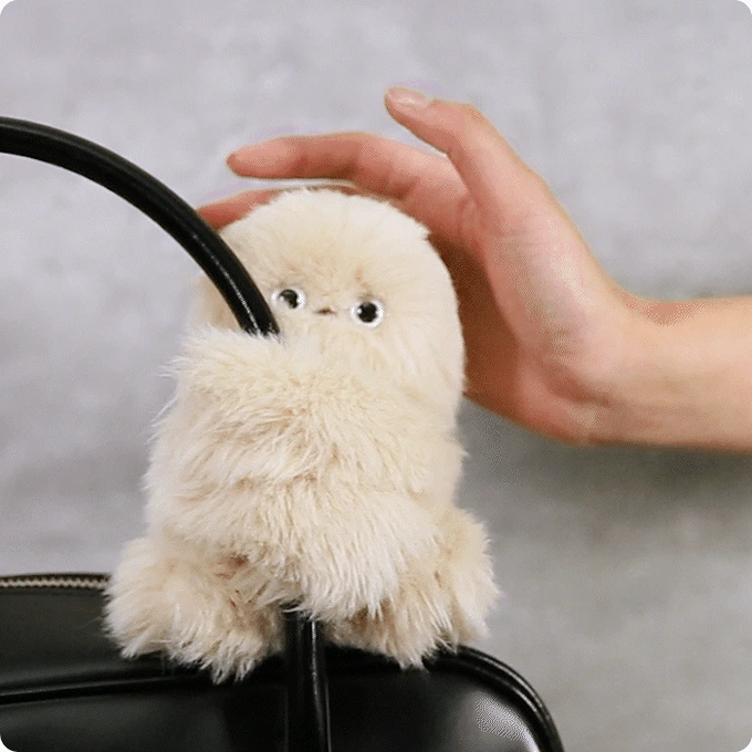 Fuzzy Purse Robot
